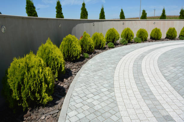 Best Driveway Pavers Near Me  in Mayo, FL